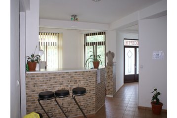 Ģimenes viesu māja Băile Herkulāna / Băile Herculane 1